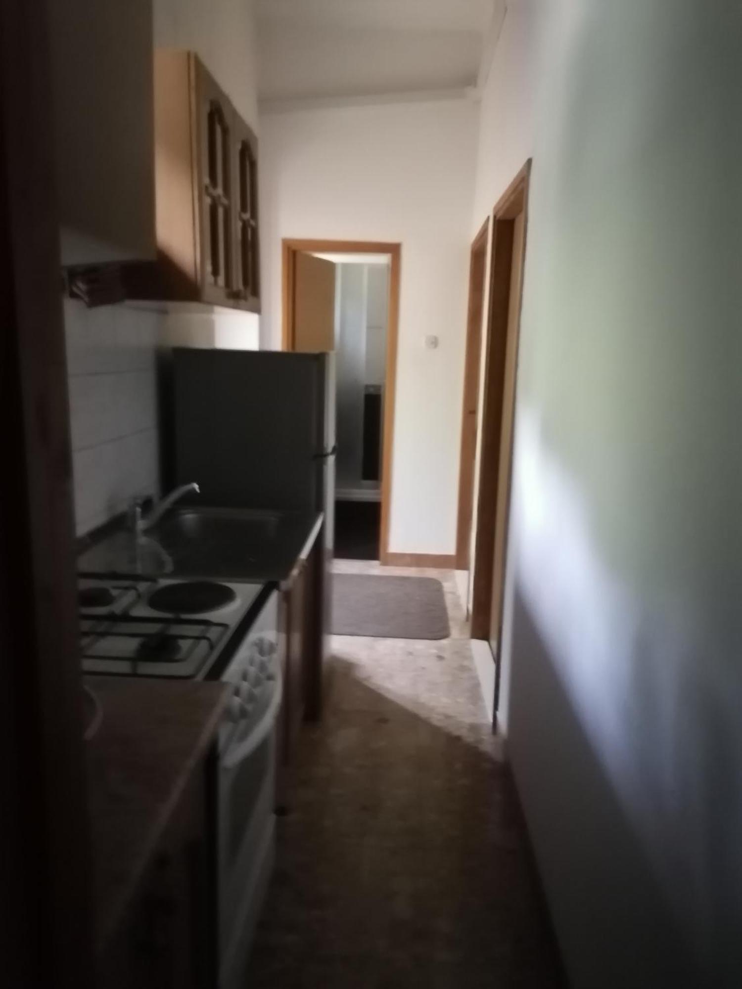 Villa Jelka Apartment 扎通 客房 照片